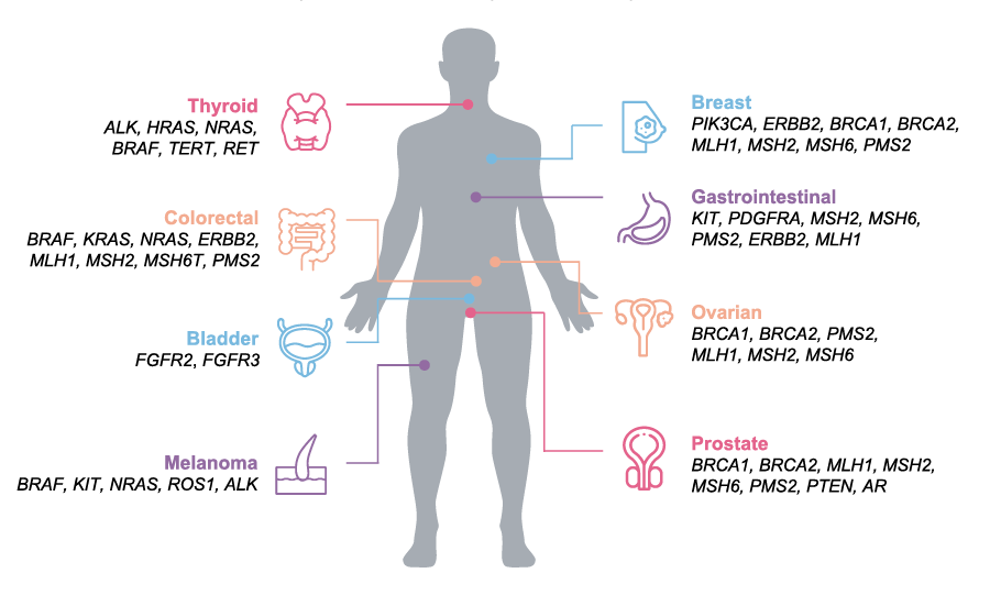 Cancer Biomarker Detection With Ngs