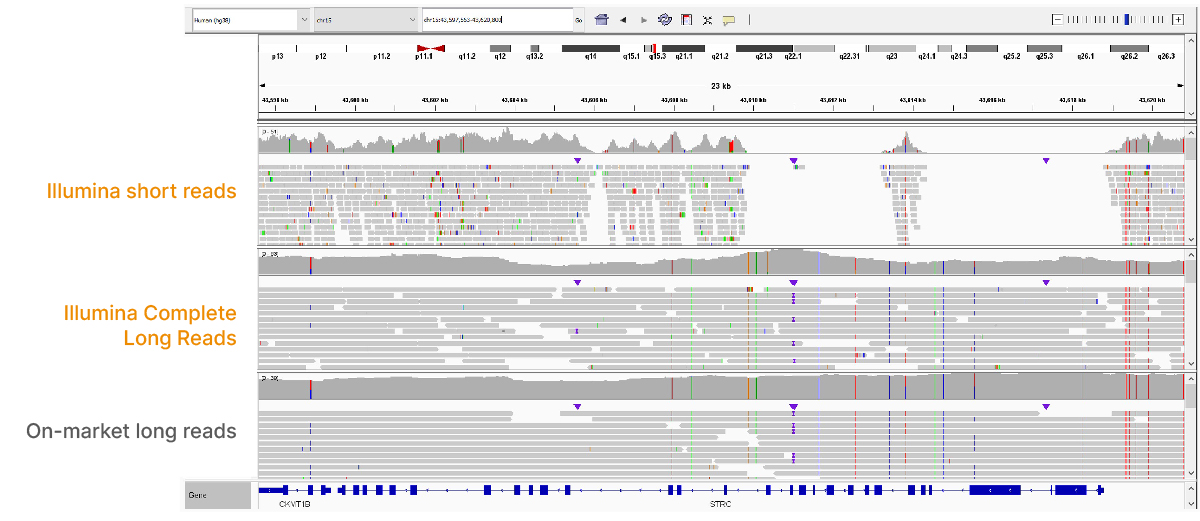 Illumina Complete Long Reads