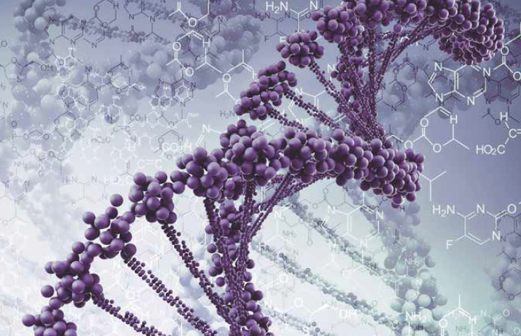 DNA Sequencing Methods Publication Review Cover