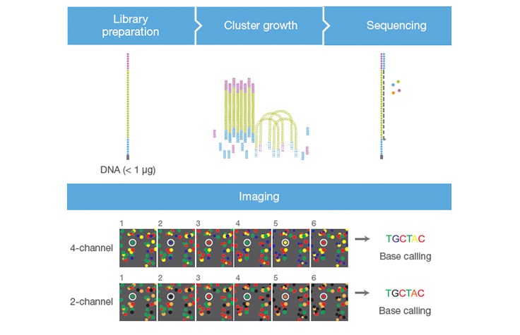 Faster Sequencing and Data Processing Times