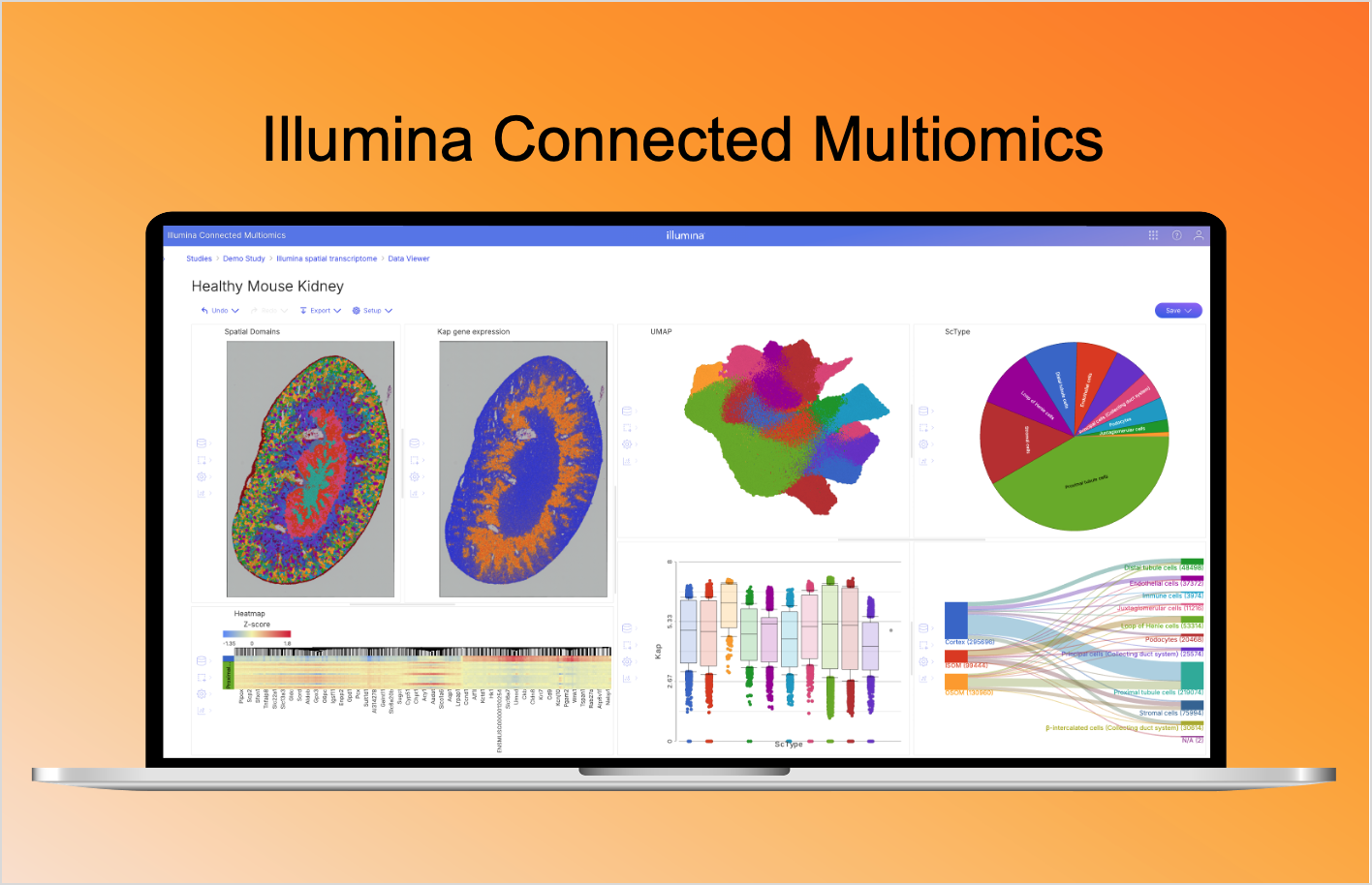 Visualization from Illumina Connected Mutliomics